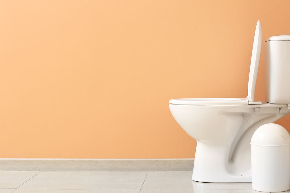 why is my toilet not flushing