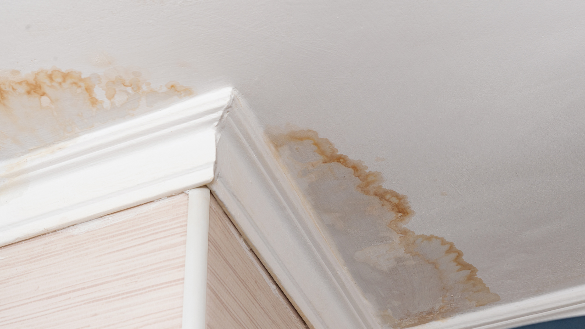 At Stewart Plumbing Inc. we can minimize the risk of a plumbing leak by knowing the common signs, taking prompt action, and more!